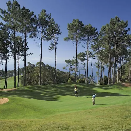 Luxury Pembe Palheiro Village By Madeira Villa